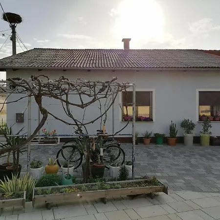 Villa Bela Golobica Bogojina Extérieur photo