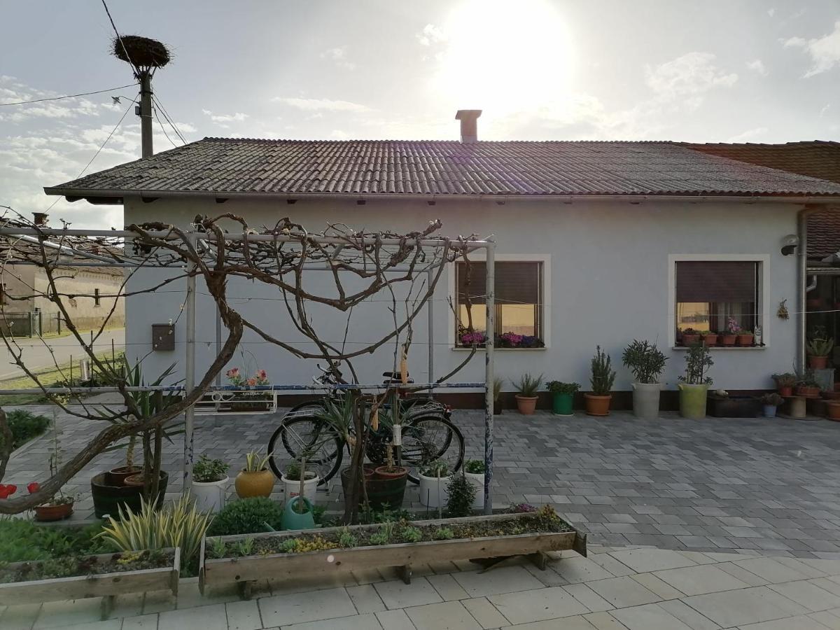 Ferienhaus Bela Golobica Bogojina